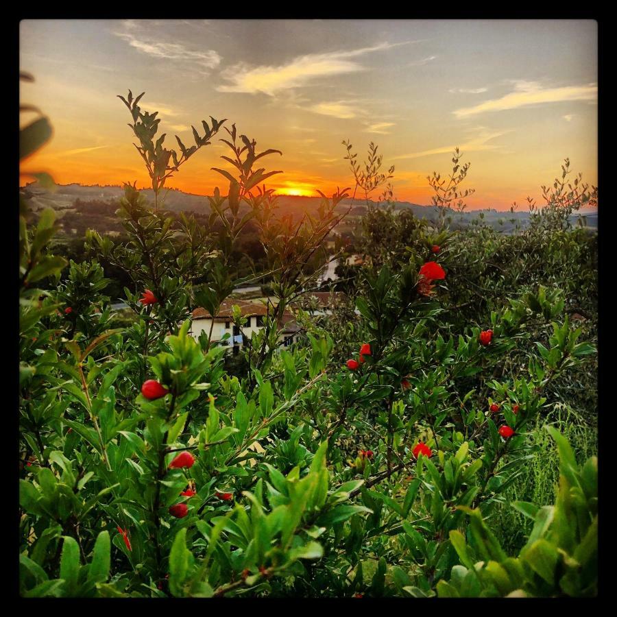 Agriturismo Casale Ugolini มอนเตสแปร์โตลิ ภายนอก รูปภาพ