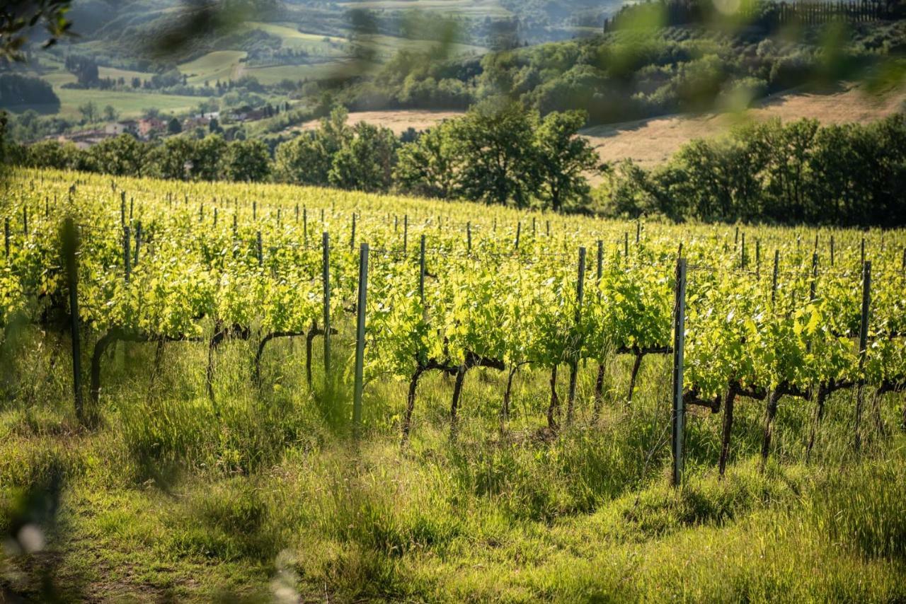Agriturismo Casale Ugolini มอนเตสแปร์โตลิ ภายนอก รูปภาพ